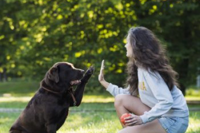 9 façons de faire du sport avec son chien