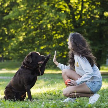 coach sportif à domicile Vannes Auray Carnac faire du sport avec son chien